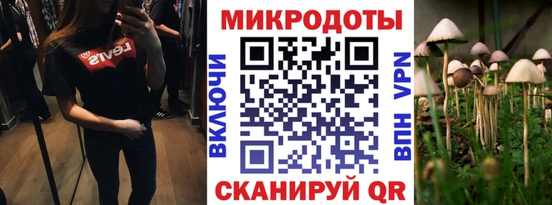 Псилоцибиновые грибы Magic Shrooms  Купить где  Лагань 